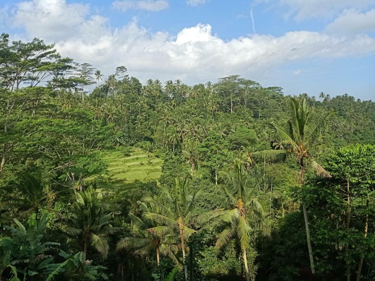 Tirta Asri Ubud Villa Exterior photo